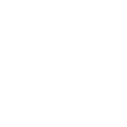 V-Retail AI