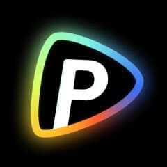 pollo.ai - AI工具Logo图标